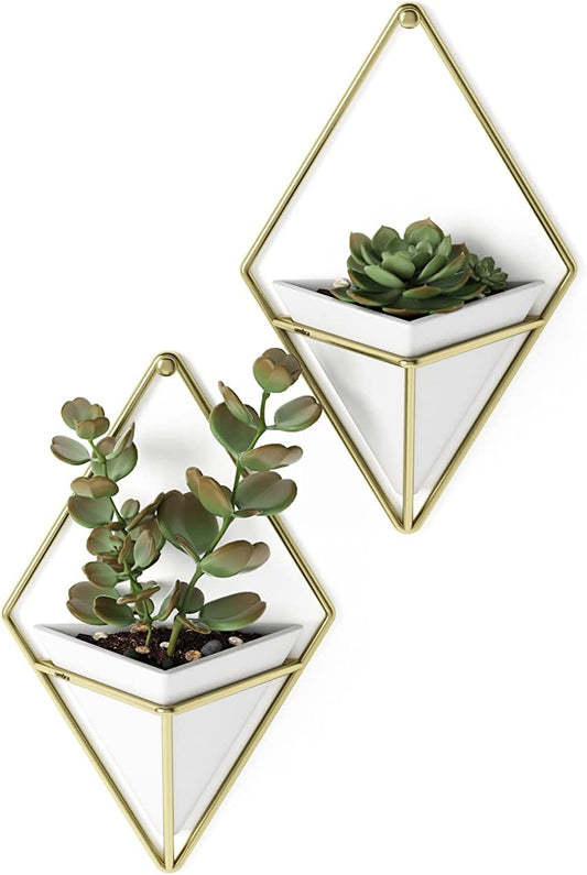 Trigg Hanging Planter Vase Wall Decor, Set of 2 Pots Containers for Succulents, Cactus, Faux Plants, and More, Small, White/Brass